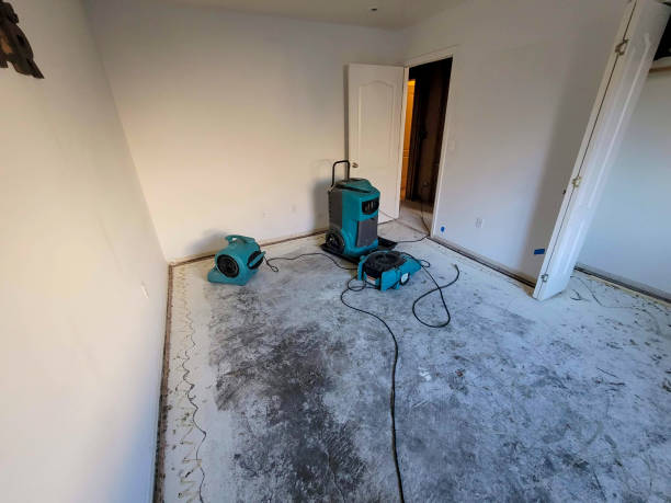 Best Residential water damage restoration  in Great Neck Plaza, NY