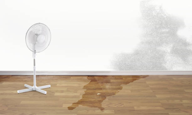 Best Fire Damage Restoration  in Great Neck Plaza, NY